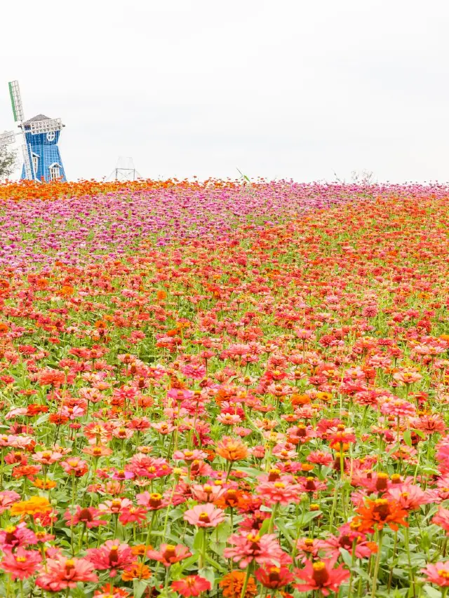 秋遊南京3日遊這份攻略碼住不虧