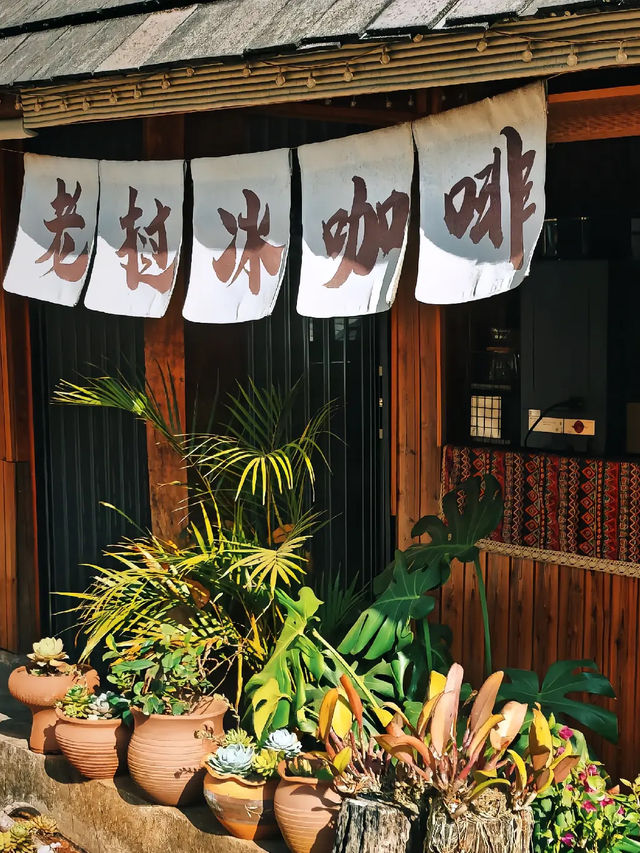 為一口千年茶香，奔赴景邁山糯乾古寨的治癒時光