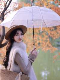 西安小眾賞秋秘境浐灞濕地公園銀杏打卡攻略