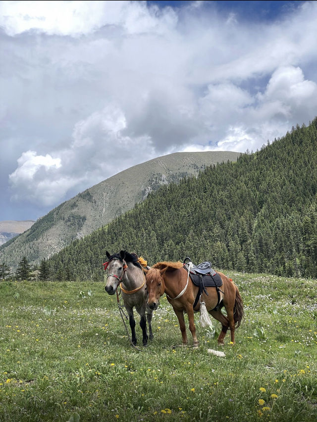 下則通村都太靚了吧!陰天都靚到令人窒息 下則通村都太靚了吧!陰天都靚到令人窒息