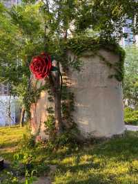 落葉像雪一樣的季節