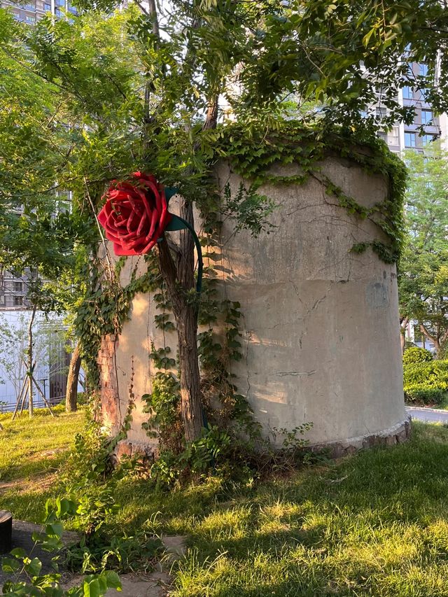 落葉像雪一樣的季節