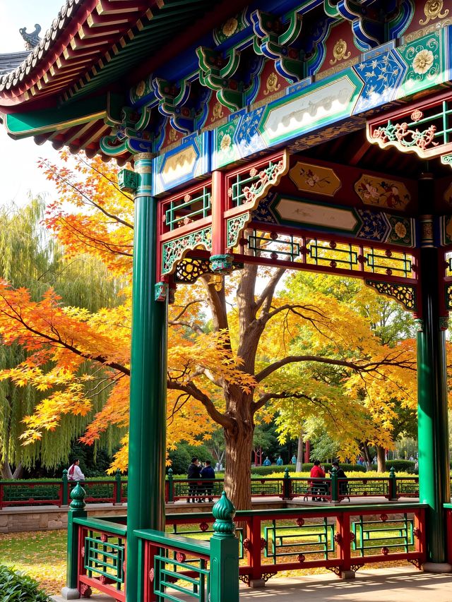 被野三坡的"火焰楓"驚艷到說不出話！