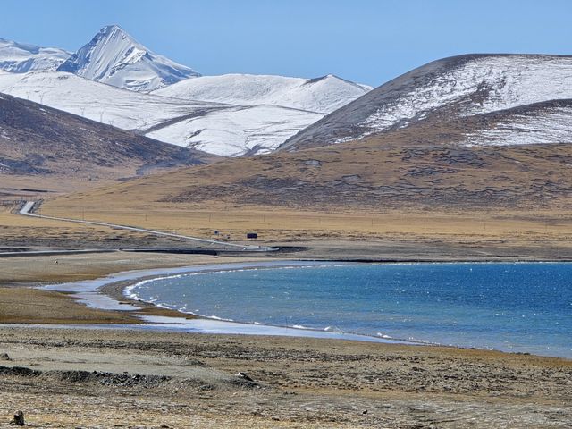 11月和12月西藏旅遊最佳的季節之一|||因為一直特別忙，