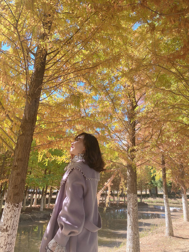 麒麟城的初冬,是打翻的調色盤 麒麟城的初冬,是打翻的調色盤