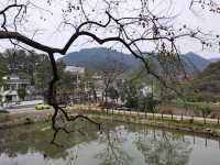 令人驚艷的賞秋之地——中國甜柿第一村