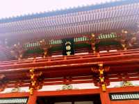 鶴岡八幡宮｜鎌倉最具代表性的神社散步路線 ⛩️🍁