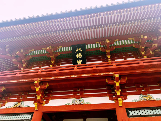 鶴岡八幡宮｜鎌倉最具代表性的神社散步路線 ⛩️🍁