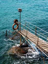 香港電車慢時光指南