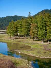 上海3h直達!初冬闖入畫龍村,在浙東古道邂逅瀑布梯田與治癒