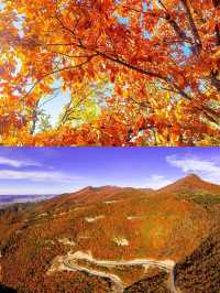 北京人的最愛，南太行的最美--秋日限定色！