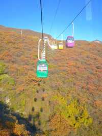 「坡峰嶺紅葉秘境·北京秋日天花板」