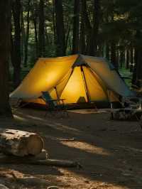 崇左遛娃不卷中衛!22℃避世+瀑布海島