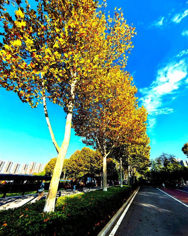 冬天裡的長沙，是這樣的……