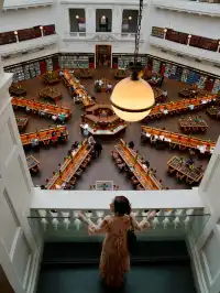 為了這幾張照片…我飛了一趟墨爾本