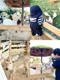 Plog.｜寶媽狂喜！廈門遛娃聖地！！