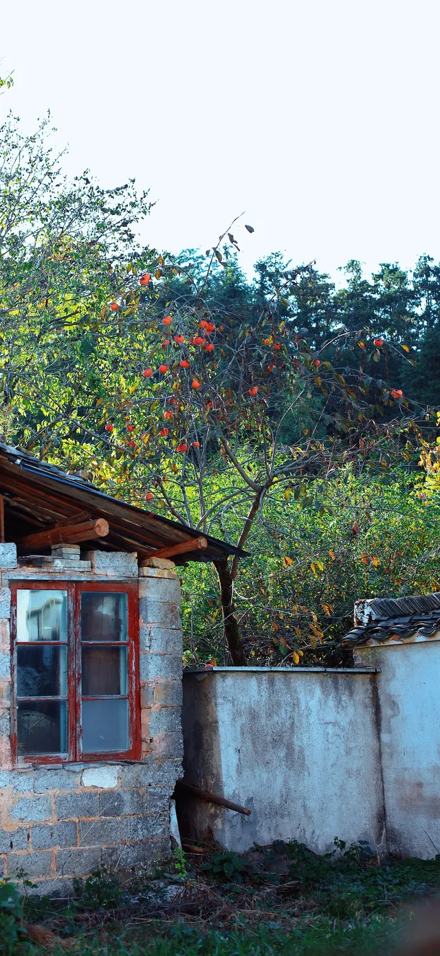 杭州出發|第 站黃山腳下週末兩日賞秋景 杭州出發|第 站黃山腳下週末兩日賞秋景