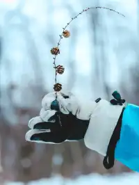 長白山隱藏玩法！帶娃徒步雪林，玩到拖不走
