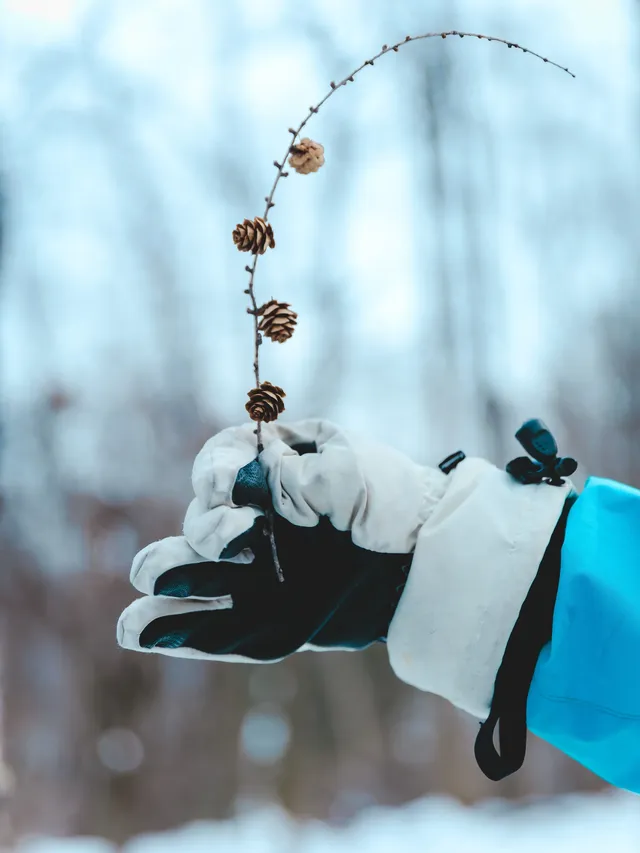長白山隱藏玩法！帶娃徒步雪林，玩到拖不走