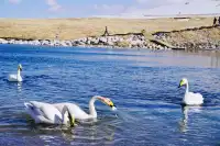 廣州出發！3天往返，直飛自駕看盡冰島藍冰