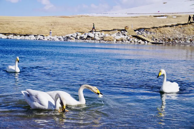 廣州出發！3天往返，直飛自駕看盡冰島藍冰