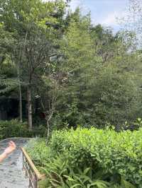 惠州溫泉|地派溫泉真的戳中我心巴了