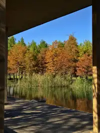 原圖直出的地方終於找到了附路線攻略