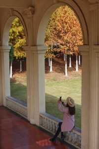 在武漢！99%人都不知道的紅杉公園，免費