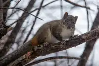 住進4000米的亞丁村,推窗見神山!