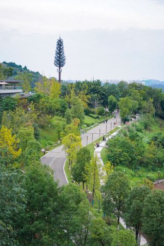 1.5h direct trip on weekends! A hidden gem for autumn leaf viewing and family fun at Sancha Lake