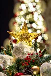 重慶|永遠相信麗晶!聖誕酒店氛圍天花板