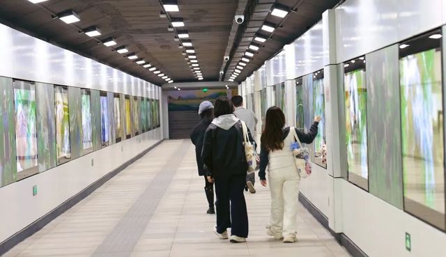 紅山動物園新通道成打卡地 紅山動物園新通道成打卡地