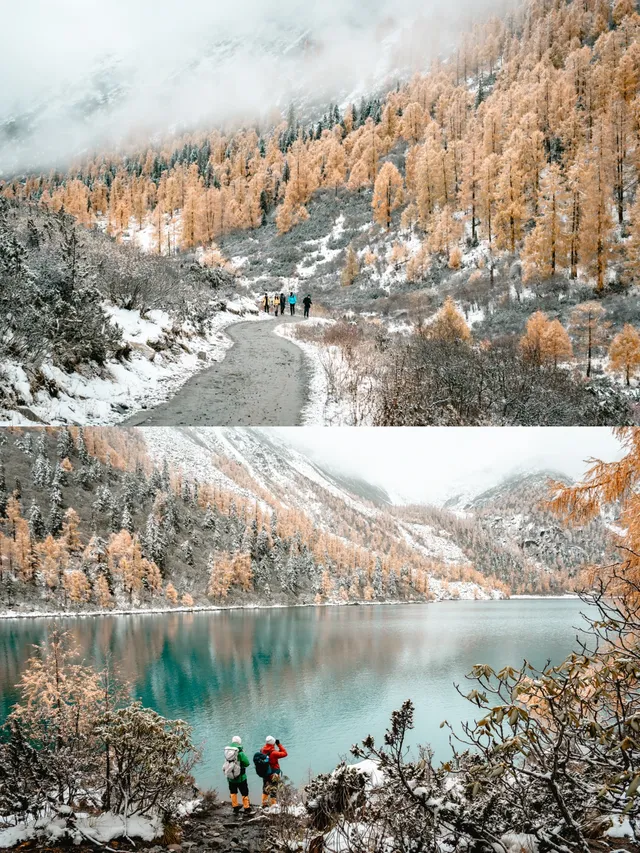 黨嶺3天2夜徒步攻略(不露營版) 黨嶺3天2夜徒步攻略(不露營版)