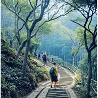 古寺打卡絕美機位