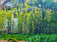 12月初實探｜無錫惠山古鎮，邂逅一場盛大的江南深秋