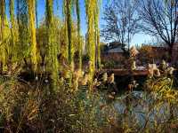 天津賞秋攻略｜這些地方才是秋天該有的樣子