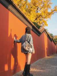 保姆級出片指南朝天宮藍白穿搭攻略