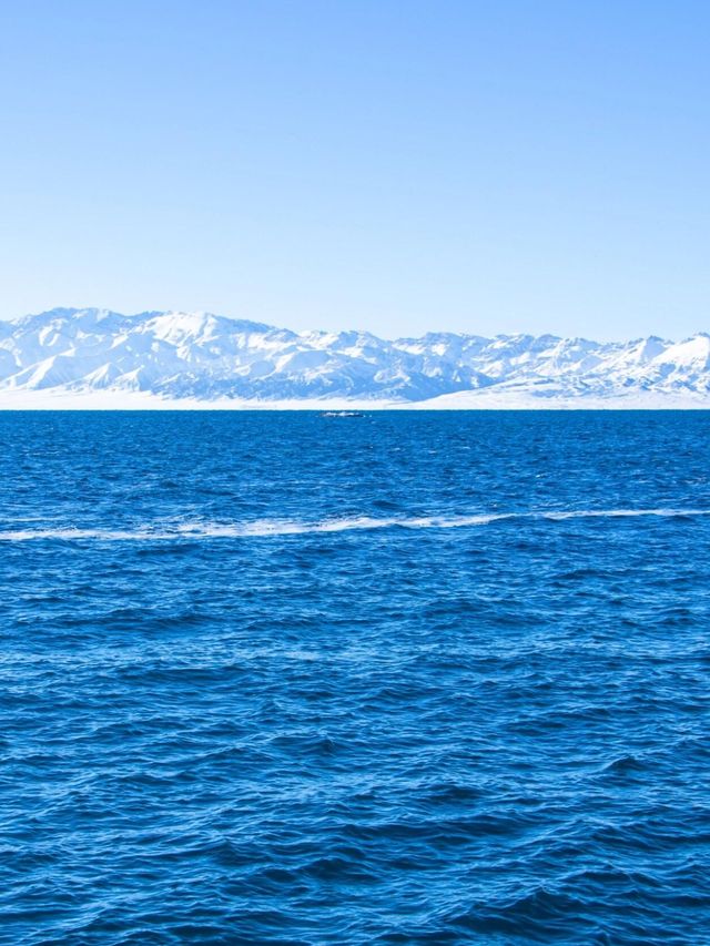 冬日賽里木湖,美到失語的藍冰秘境! 冬日賽里木湖,美到失語的藍冰秘境!