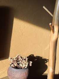 千戶苗寨找到一家特別適合拍照的民宿