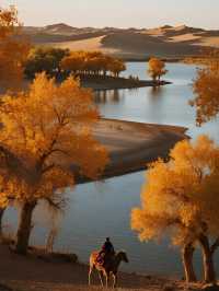 三大胡楊林親子賞秋對比國慶遛娃攻略