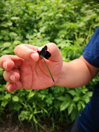 Exploring Sijiazi Flower Sea