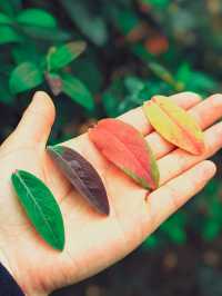 冬棲暖境,歲末安隅