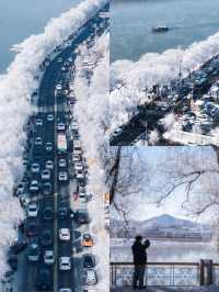 人這一輩子總要去松花江看一次霧淞吧