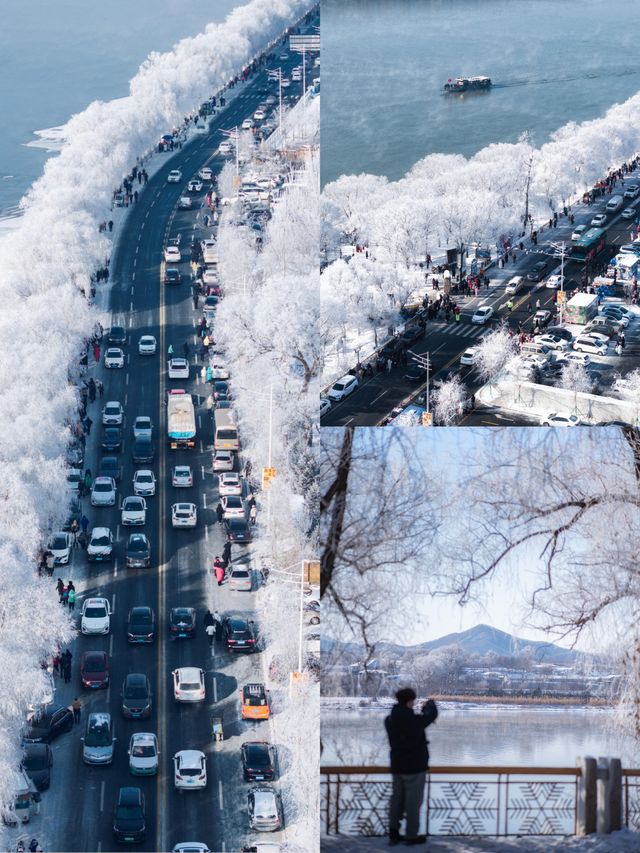 人這一輩子總要去松花江看一次霧淞吧 人這一輩子總要去松花江看一次霧淞吧