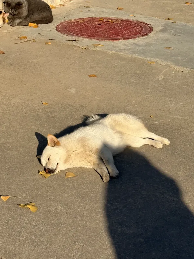 今年去過秦皇島最冷門的地方！很怕它火