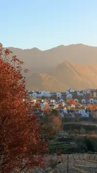 晨霧繚繞的皖南秋色太值得一看了