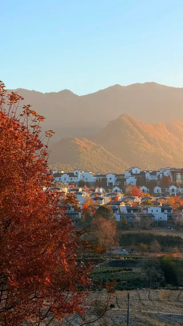 晨霧繚繞的皖南秋色太值得一看了 晨霧繚繞的皖南秋色太值得一看了