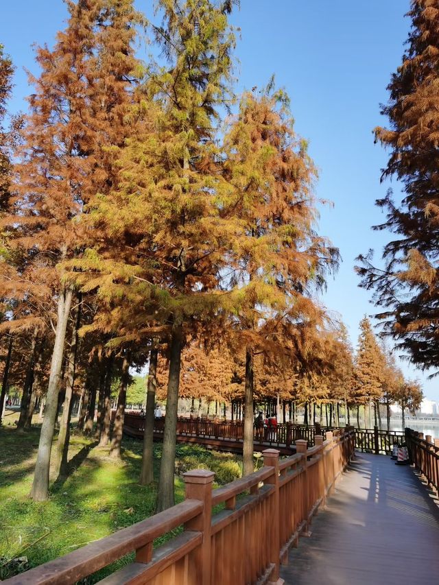 冬日的大運河博物館 冬日的大運河博物館