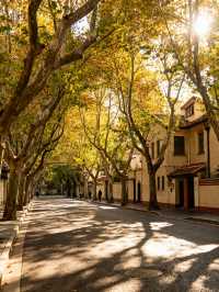 上海新玩法!自然 + 人文打卡合集