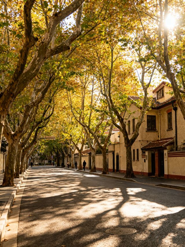 上海新玩法!自然 + 人文打卡合集 上海新玩法!自然 + 人文打卡合集